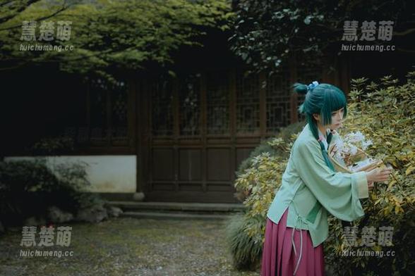 柴郡魔术师，矢量鱼的无圣光风格合集，真是个谜
