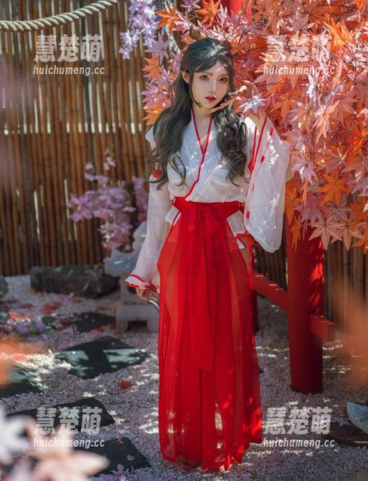 秋和柯基 秋和柯基献出的武庄女仆:看她如何颠覆传统,资源一键打包!